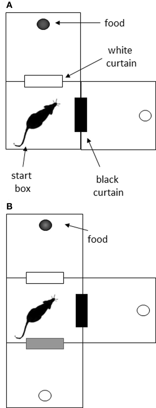 Schematic-of-the-visual-discrimination-task-A-In-the-initial-two-choice-task-rats